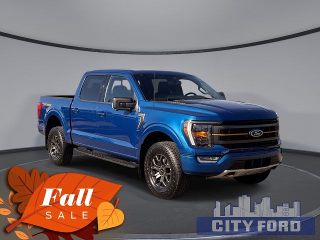 Used 2022 Ford F-150 Tremor 4x4 SuperCrew 5.5' Box