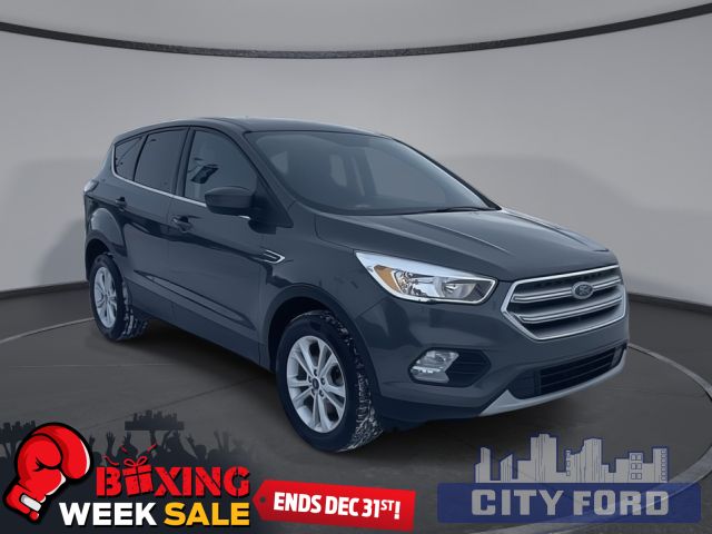 2017 Ford Escape SE 4x4 4dr