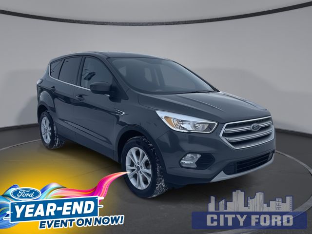 2017 Ford Escape SE 4x4 4dr