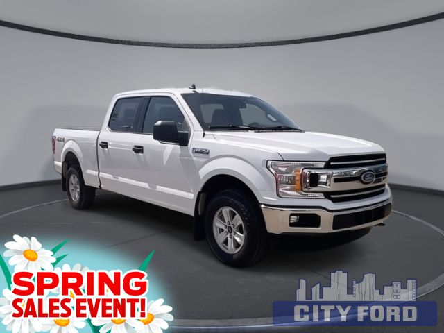 2019 Ford F-150 XLT 4x4 SuperCrew 5.5' Box