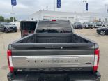 Used 2019 Ford Super Duty F-350 SRW Platinum 4x4 Crew Cab 