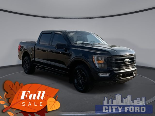 2022 Ford F-150 XLT 4x4 SuperCrew 5.5' Box