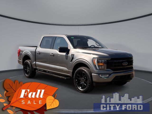 2023 Ford F-150 XLT 4x4 SuperCrew 5.5' Box