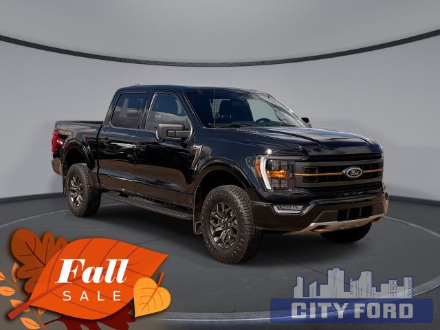 2023 Ford F-150 Tremor 4x4 SuperCrew 5.5' Box | Twin Panel Moon Roof | Lane-Keeping System | Pre-Collision Assist | Hill Descent Control | B&O Sound System | Navigation System | Adaptive Cruise Control