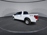 Used 2023 Ford F-150 XLT 4x4 SuperCrew 5.5' Box