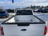 Used 2023 Ford F-150 XLT 4x4 SuperCrew