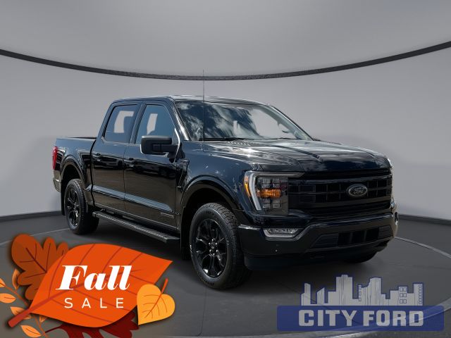 2023 Ford F-150 4x4 XLT 302A SuperCrew 5.5' Box | Hybrid | Navigation System | B&O Sound System | Remote Engine Start | Lane-Keeping System | Adaptive Cruise Control | Pro Trailer Backup Assist