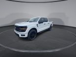 New 2024 Ford F-150 STX 4x4 SuperCrew