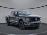 New 2024 Ford F-150 XLT 4x4 SuperCrew 5.5' Box