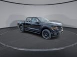 New 2024 Ford F-150 STX 4x4 SuperCrew 5.5' Box