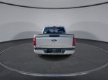 New 2024 Ford F-150 STX 4x4 SuperCrew 5.5' Box