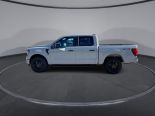 New 2024 Ford F-150 STX 4x4 SuperCrew 5.5' Box