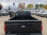 New 2024 Ford F-150 XLT 4x4 SuperCrew 6.5' Box