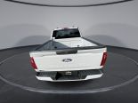 New 2024 Ford F-150 STX 4x4 SuperCrew 5.5' Box