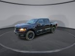 New 2024 Ford F-150 XLT 4x4 SuperCrew 5.5' Box