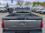 New 2024 Ford F-150 XLT 4x4 SuperCrew 5.5' Box