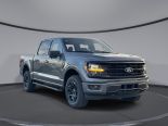 New 2024 Ford F-150 XLT 4x4 SuperCrew 5.5' Box