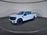 New 2024 Ford F-150 XLT 4x4 SuperCrew 5.5' Box