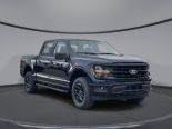 New 2024 Ford F-150 XLT 4x4 SuperCrew 5.5' Box