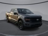 New 2024 Ford F-150 XLT 4x4 SuperCrew 5.5' Box