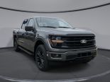 New 2024 Ford F-150 XLT 4x4 SuperCrew 5.5' Box