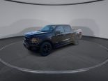 New 2024 Ford F-150 XLT 4x4 SuperCrew 5.5' Box