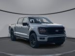 New 2024 Ford F-150 XLT 4x4 SuperCrew 5.5' Box