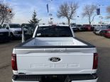 New 2024 Ford F-150 XLT 4x4 SuperCrew 5.5' Box