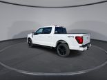 New 2024 Ford F-150 XLT 4x4 SuperCrew 5.5' Box