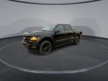 New 2024 Ford F-150 XLT 4x4 SuperCrew 5.5' Box