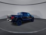 New 2024 Ford F-150 XLT 4x4 SuperCrew 5.5' Box