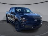 New 2024 Ford F-150 XLT 4x4 SuperCrew 5.5' Box