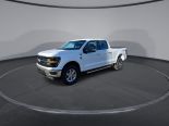 New 2024 Ford F-150 XLT 4x4 SuperCrew 6.5' Box