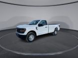 New 2024 Ford F-150 XL 4x4 Reg Cab 8' Box