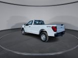 New 2024 Ford F-150 XL 4x4 Reg Cab 8' Box