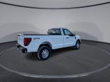 New 2024 Ford F-150 XL 4x4 Reg Cab 8' Box