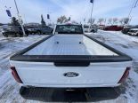 New 2024 Ford F-150 XL 4x4 Reg Cab 8' Box