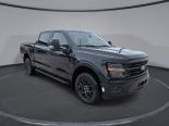 New 2024 Ford F-150 XLT 4x4 SuperCrew 5.5' Box