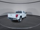 New 2024 Ford F-150 XLT 4x4 SuperCrew 6.5' Box