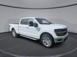 New 2024 Ford F-150 XLT 4x4 SuperCrew 6.5' Box