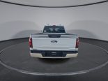 New 2024 Ford F-150 XLT 4x4 SuperCrew 6.5' Box