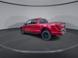 New 2024 Ford F-150 XLT 4x4 SuperCrew 5.5' Box