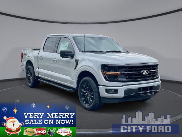 2024 Ford F-150 XLT 4x4 SuperCrew  | BLACK PACKAGE | 303A | BLUECRUISE | TWIN MOON ROOF