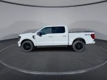 New 2024 Ford F-150 XLT 4x4 SuperCrew 5.5' Box