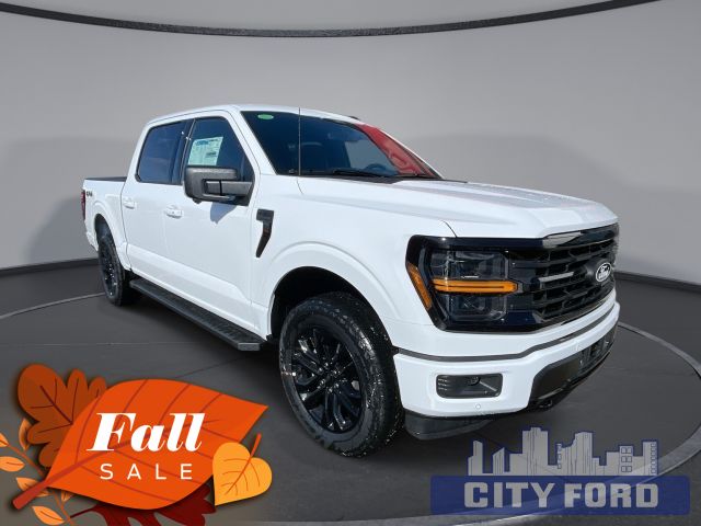 2024 Ford F-150 XLT 4x4 SuperCrew 5.5' Box