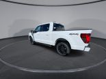 New 2024 Ford F-150 XLT 4x4 SuperCrew 5.5' Box