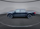 New 2024 Ford F-150 XLT 4x4 SuperCrew 5.5' Box