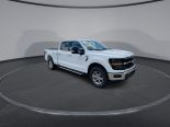 New 2024 Ford F-150 XLT 4x4 SuperCrew 6.5' Box