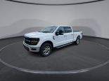 New 2024 Ford F-150 XLT 4x4 SuperCrew 6.5' Box