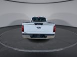 New 2024 Ford F-150 XLT 4x4 SuperCrew 6.5' Box